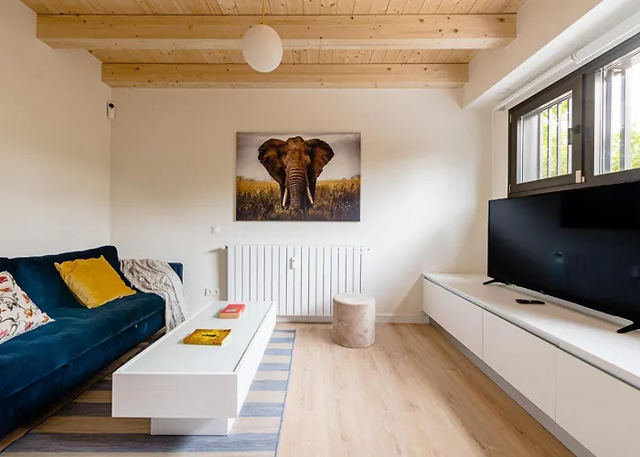 Acogedor Duplex En Salamanca